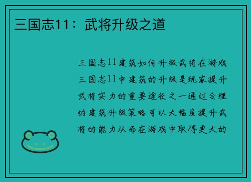 三国志11：武将升级之道